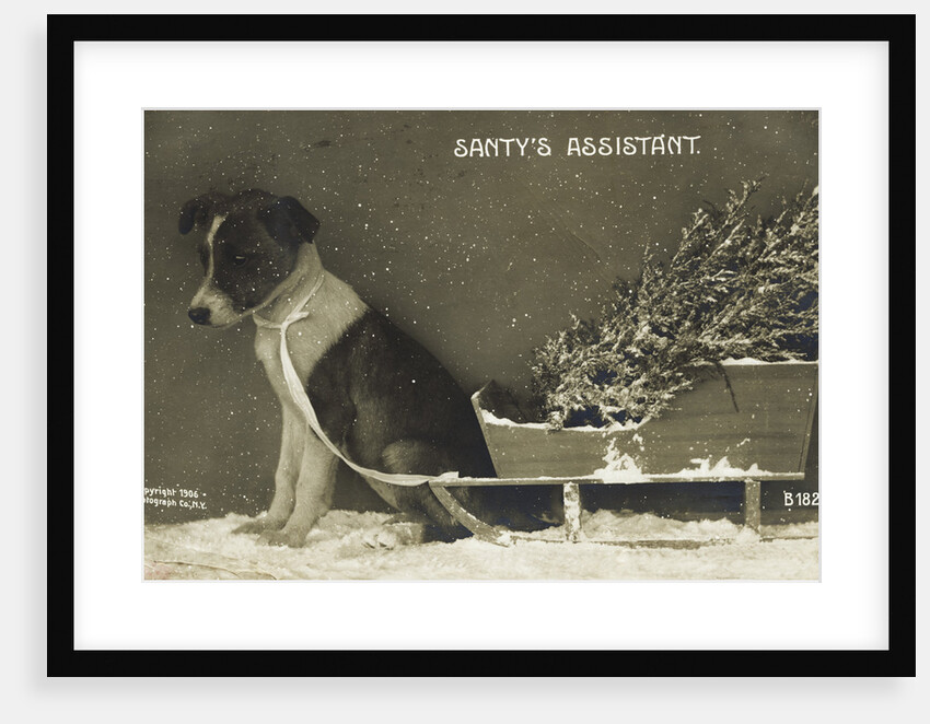 Santy's Assistant Postcard by Anonymous