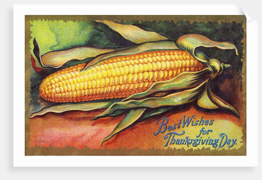 Best Wishes for Thanksgiving Day Postcard by Anonymous