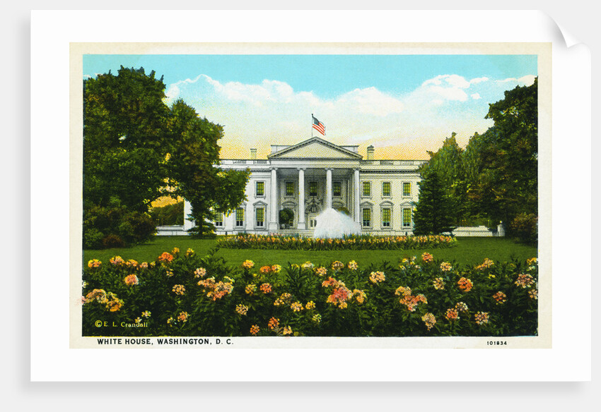 White House, Washington, D.C. Postcard by Anonymous