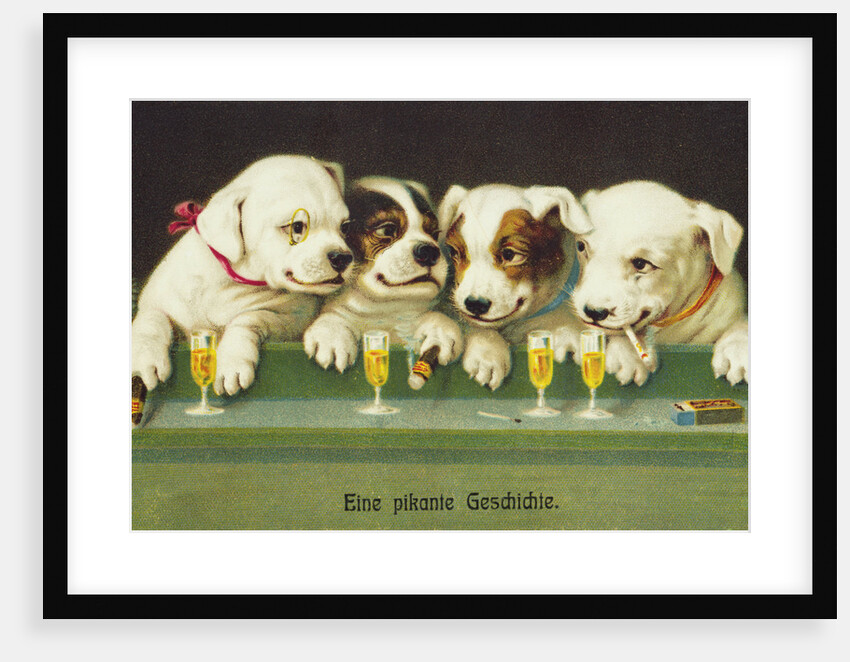 Eine Pikante Geschichte Postcard by Anonymous