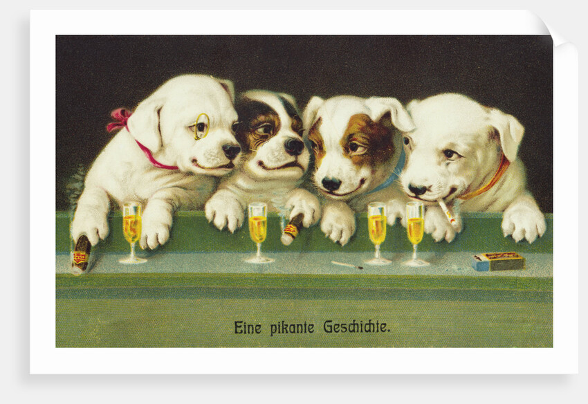 Eine Pikante Geschichte Postcard by Anonymous