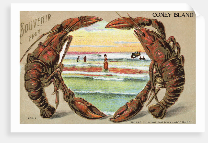 Souvenir from Coney Island Postcard by Anonymous