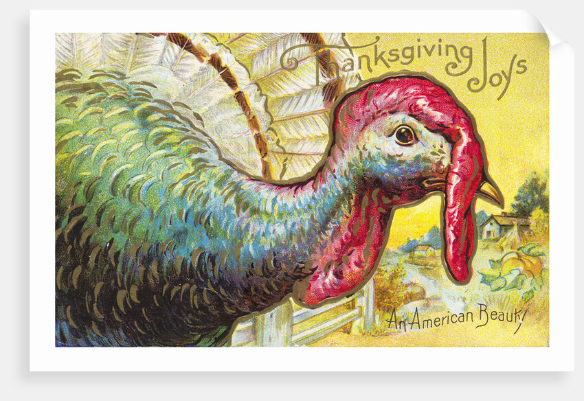 Thanksgiving Joys: An American Beauty Postcard by Anonymous