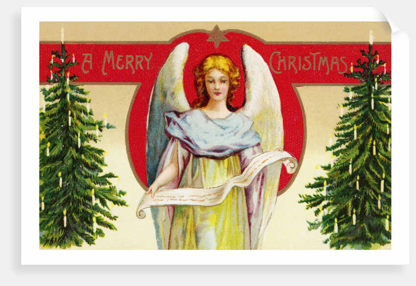 A Merry Christmas Postcard with Angel and Christmas Trees by Anonymous