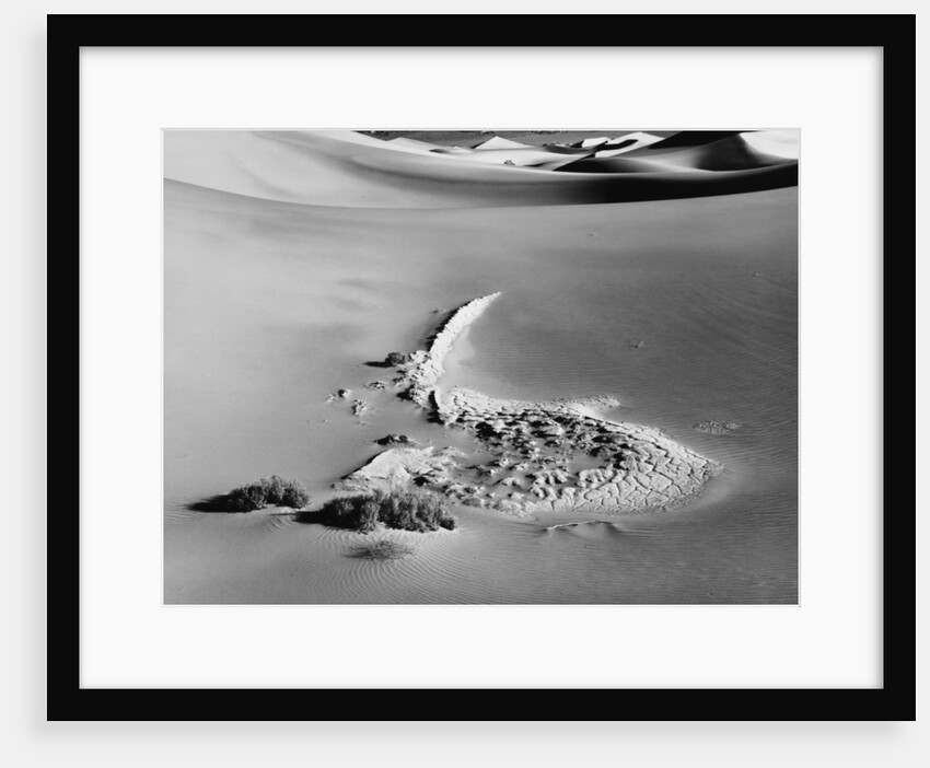 Sand Dune #17 by Gordon Osmundson