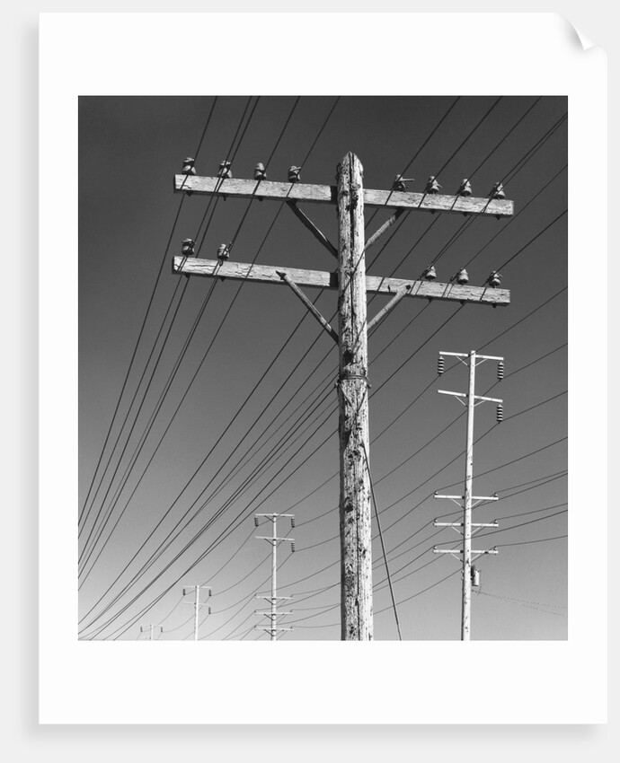 Poles and Wires by Gordon Osmundson