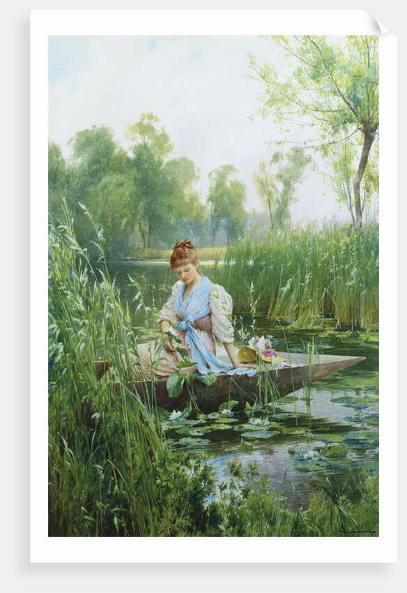 Waterlillies by Alfred Augustus Glendening II