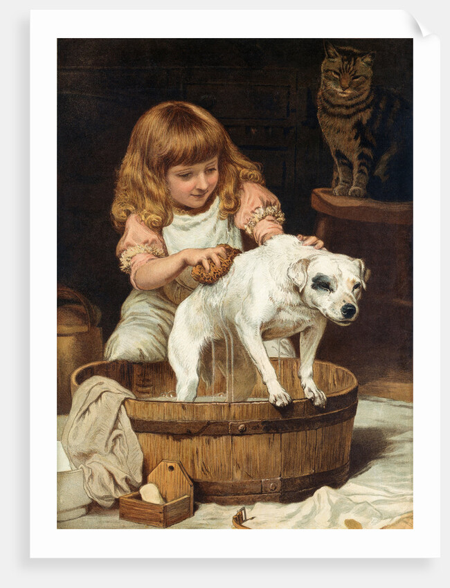 The Order of the Bath by Charles Burton Barber