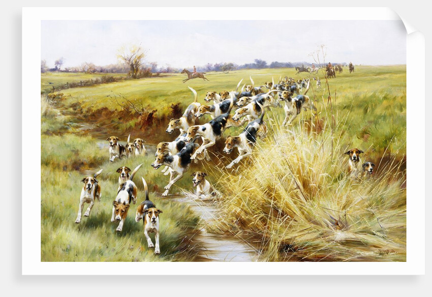 Full Cry! by Thomas Blinks