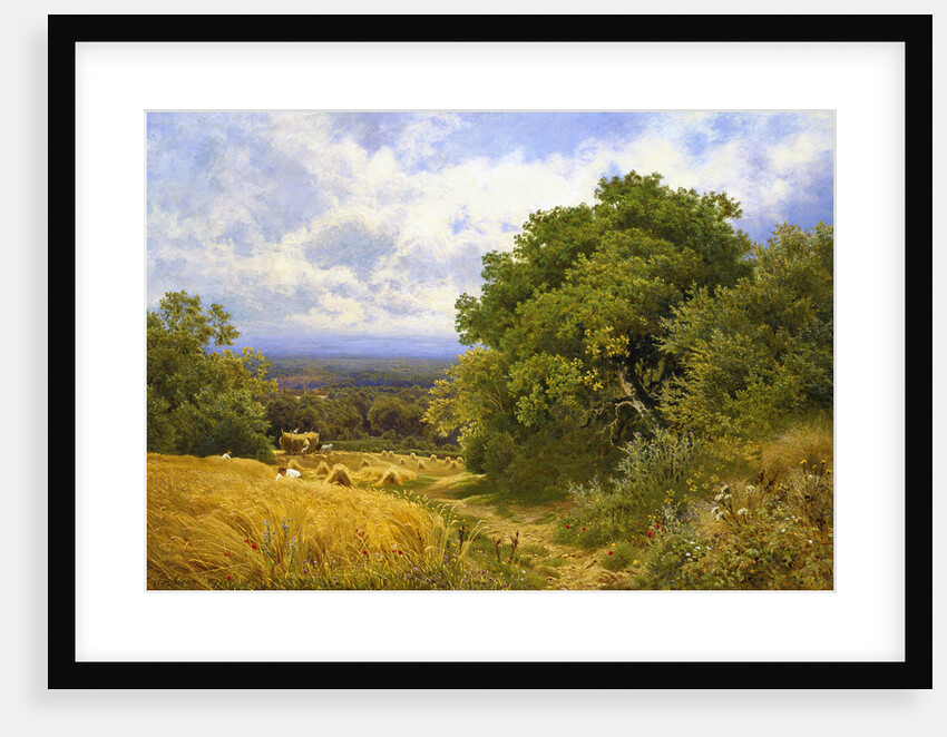 Harvest Time by John Clayton Adams