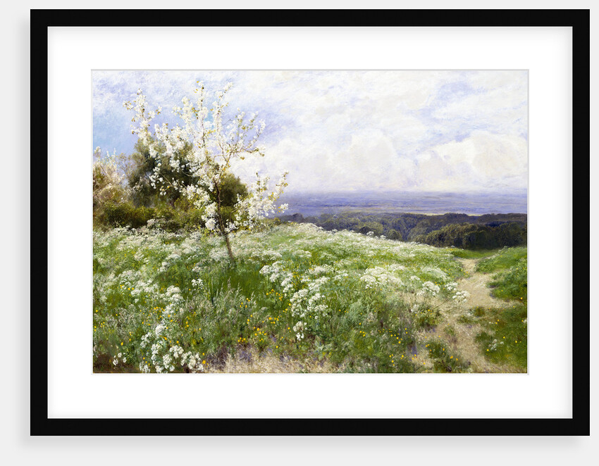 Spring Blossom by John Clayton Adams