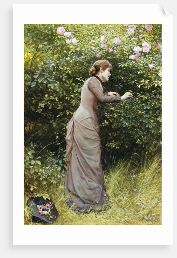 The Bird's Nest by Edward Killingworth Johnson