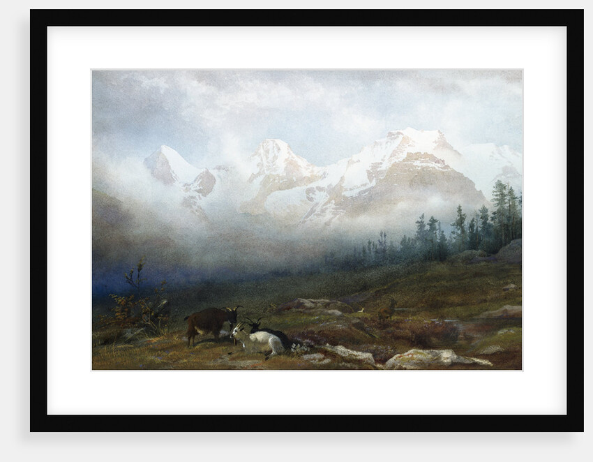 The Jungfrau, Monk and Eiger from Murren by Thomas George Cooper