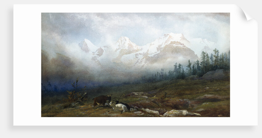 The Jungfrau, Monk and Eiger from Murren by Thomas George Cooper