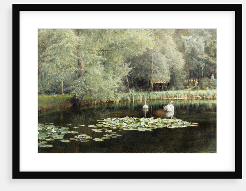 The Lily Pond by Edward R. Taylor