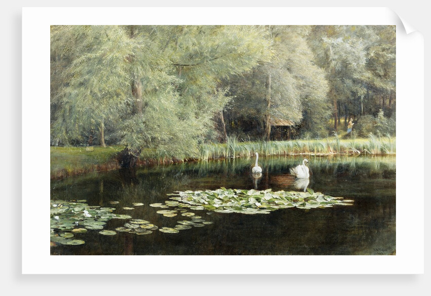 The Lily Pond by Edward R. Taylor