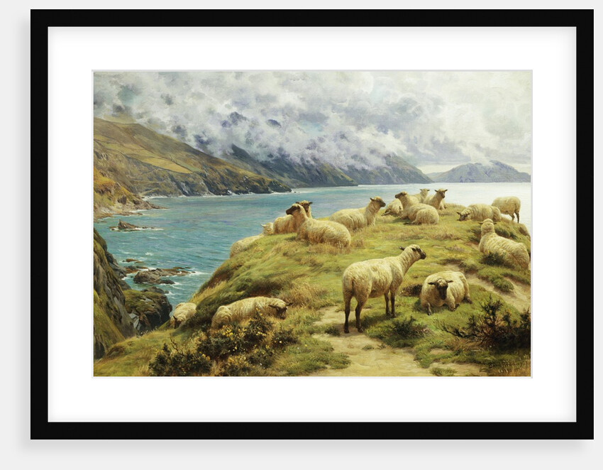 Sheep Reposing, Dalby Bay, Isle of Man by Basil Bradley