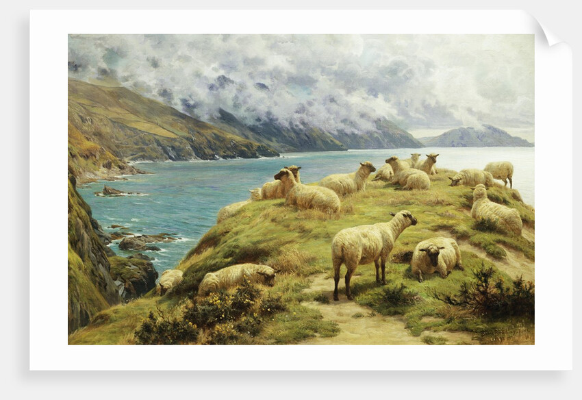 Sheep Reposing, Dalby Bay, Isle of Man by Basil Bradley