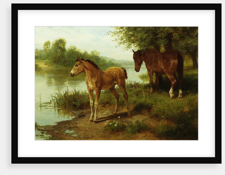 A Mare and Her Foal by Basil Bradley