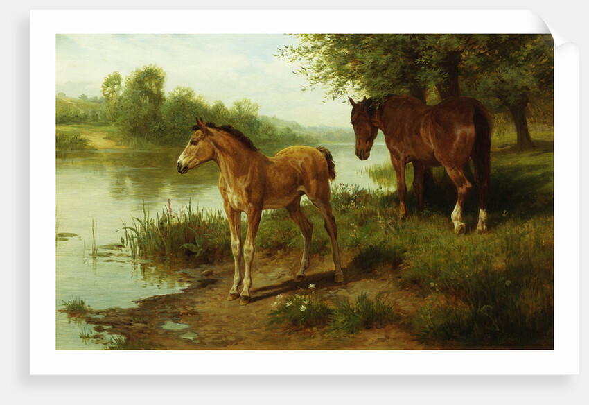 A Mare and Her Foal by Basil Bradley