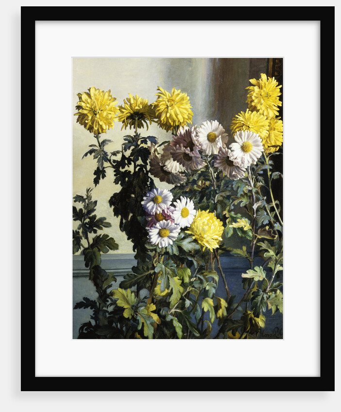 Chrysanthemums by Harald Martin Hansen Holm