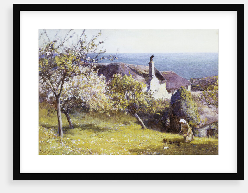 Springtime, Devon by John White