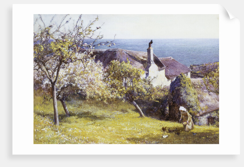 Springtime, Devon by John White