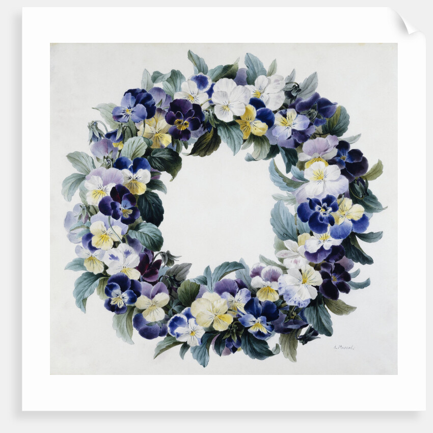A Garland of Pansies by Antoine Pascal