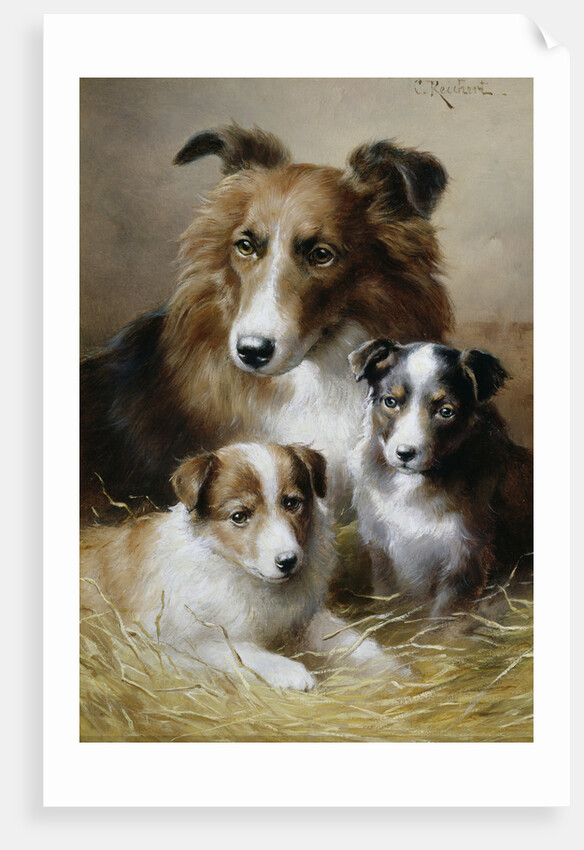 Pride and Joy by Carl Reichert