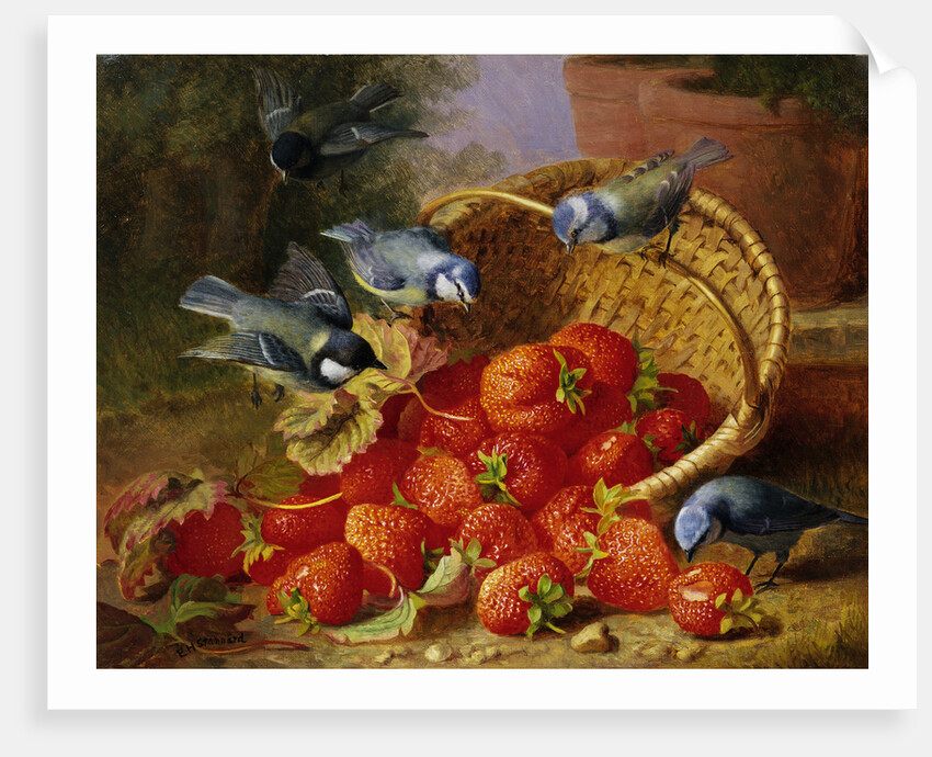A Feast of Strawberries (Blue Tits) by Eloise Harriet Stannard