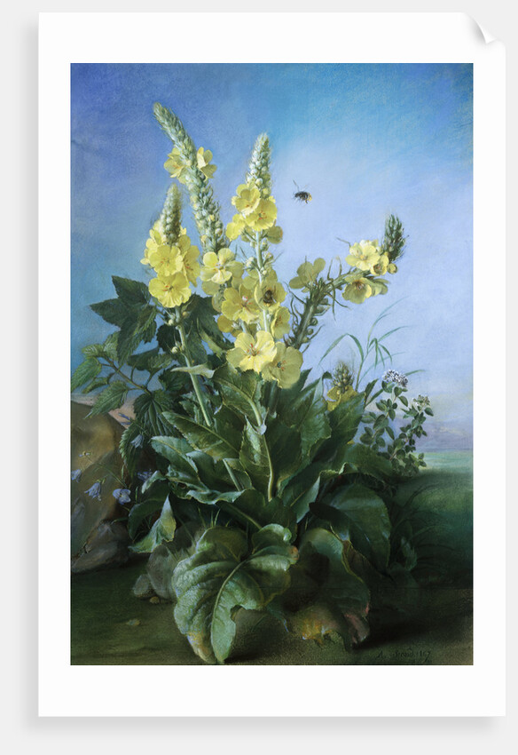 Yellow Flowers in Front of the Blue Sky by Louis-Apollinaire Sicard