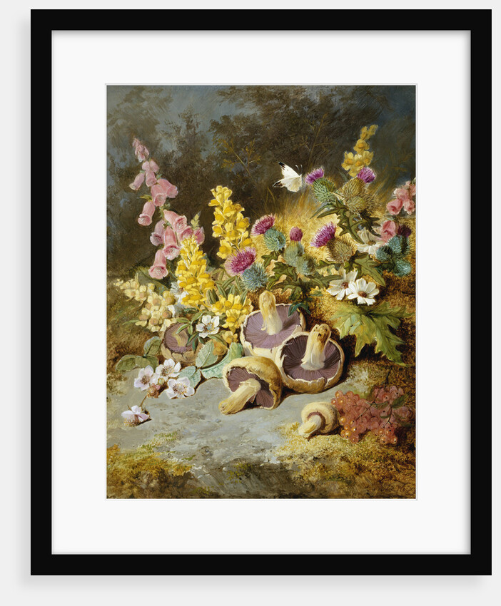 Still Life of Floxgloves, Mushrooms, Snapdragons, and Thistles by Thomas Worsey