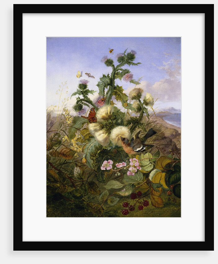 Nature's Gold by John Wainwright