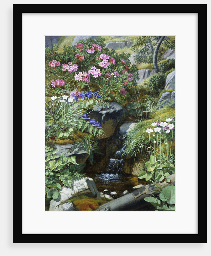 Alpine Flowers by a Stream by Otto Diderich Ottesen