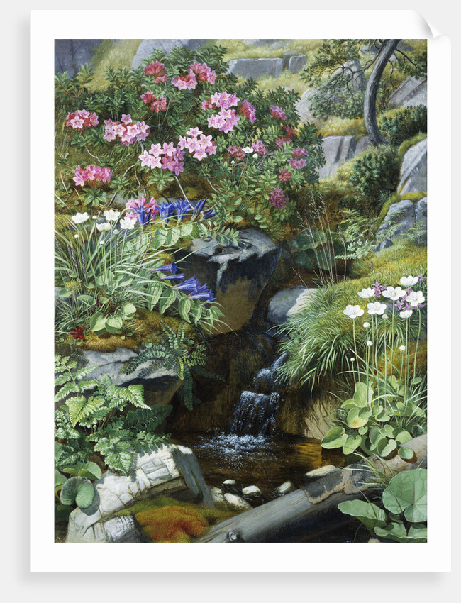 Alpine Flowers by a Stream by Otto Diderich Ottesen