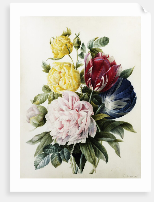 Tulips and Roses by Louise Thuillier Mornard