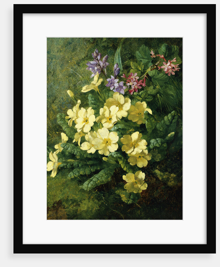 Spring Flowers by Annie Feray Mutrie