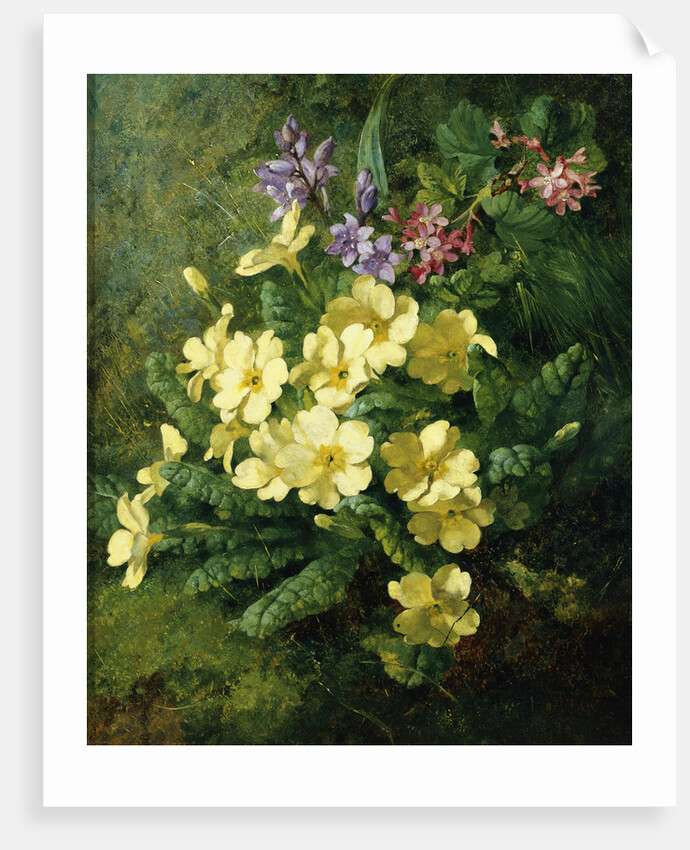 Spring Flowers by Annie Feray Mutrie