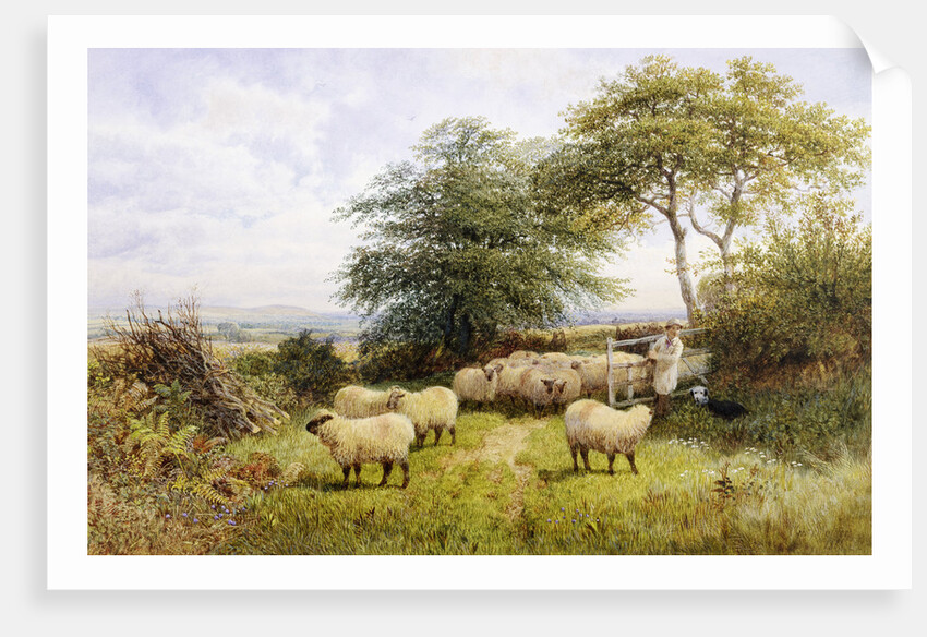 Changing Pastures by George Shalders