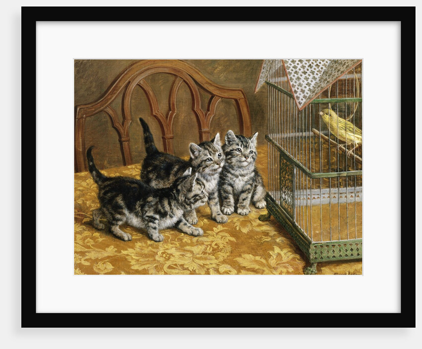 Captivated by Frank Paton