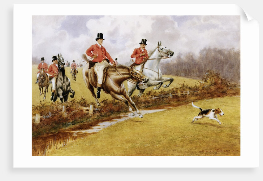 Over the Fence by Warren Williams