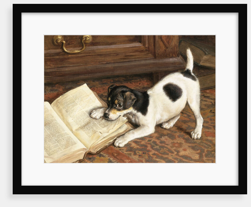 The Tearaway by Frank Paton