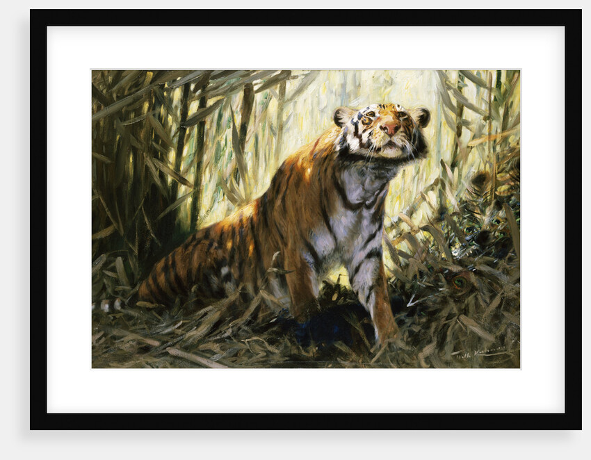 A Tiger with a Peacock by Wilhelm Kuhnert