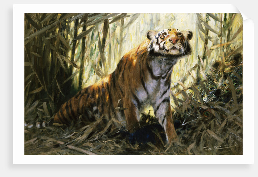 A Tiger with a Peacock by Wilhelm Kuhnert