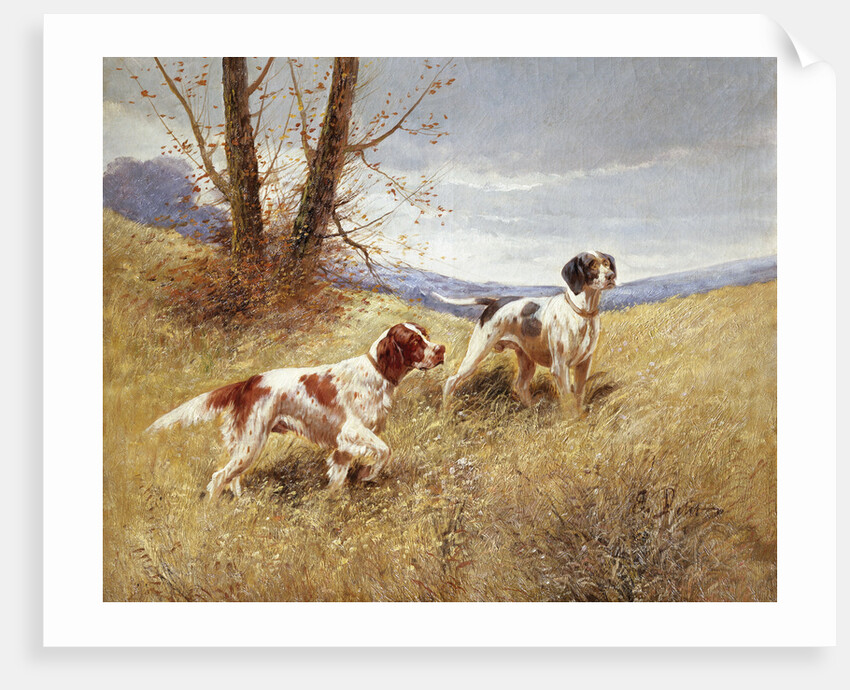 Pointers by Eugene Petit