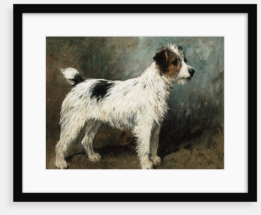 A Portrait of Nettle, A Terrier by John Emms