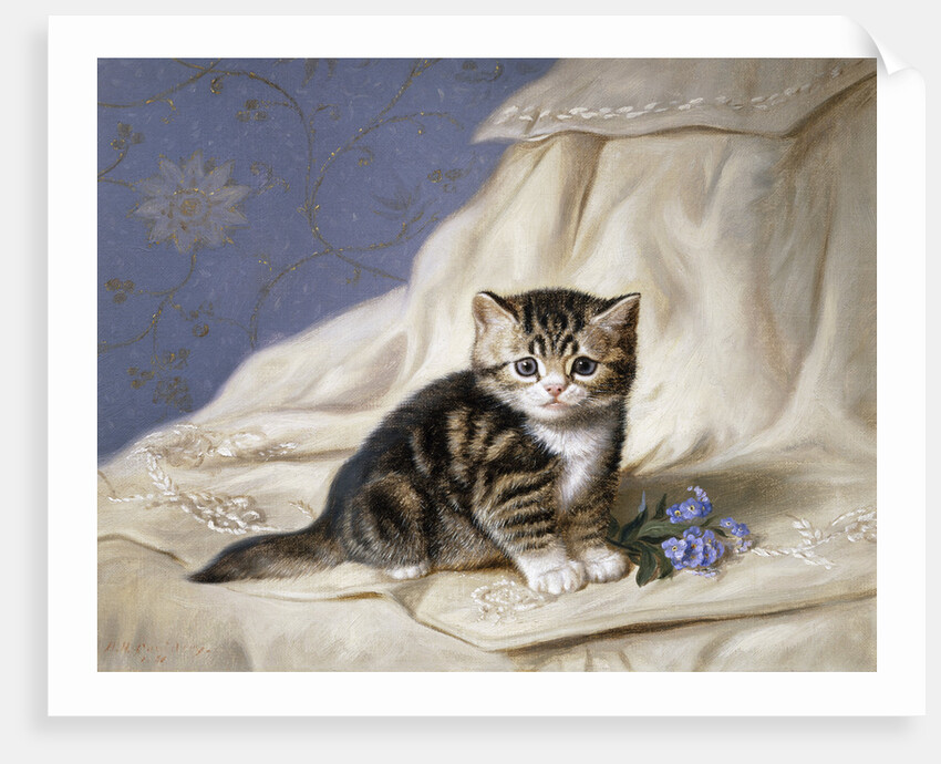 Forget-Me-Not by Horatio Henri Couldery