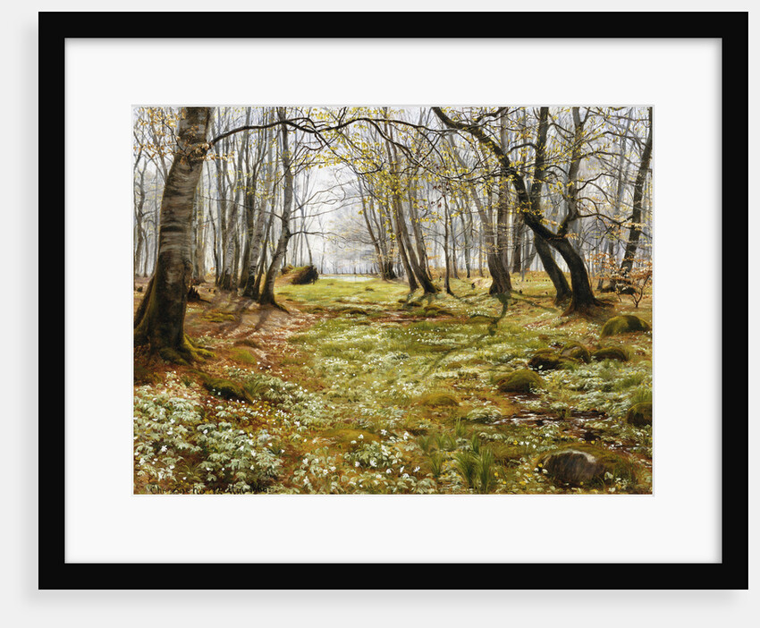 Springtime by Christian Zacho