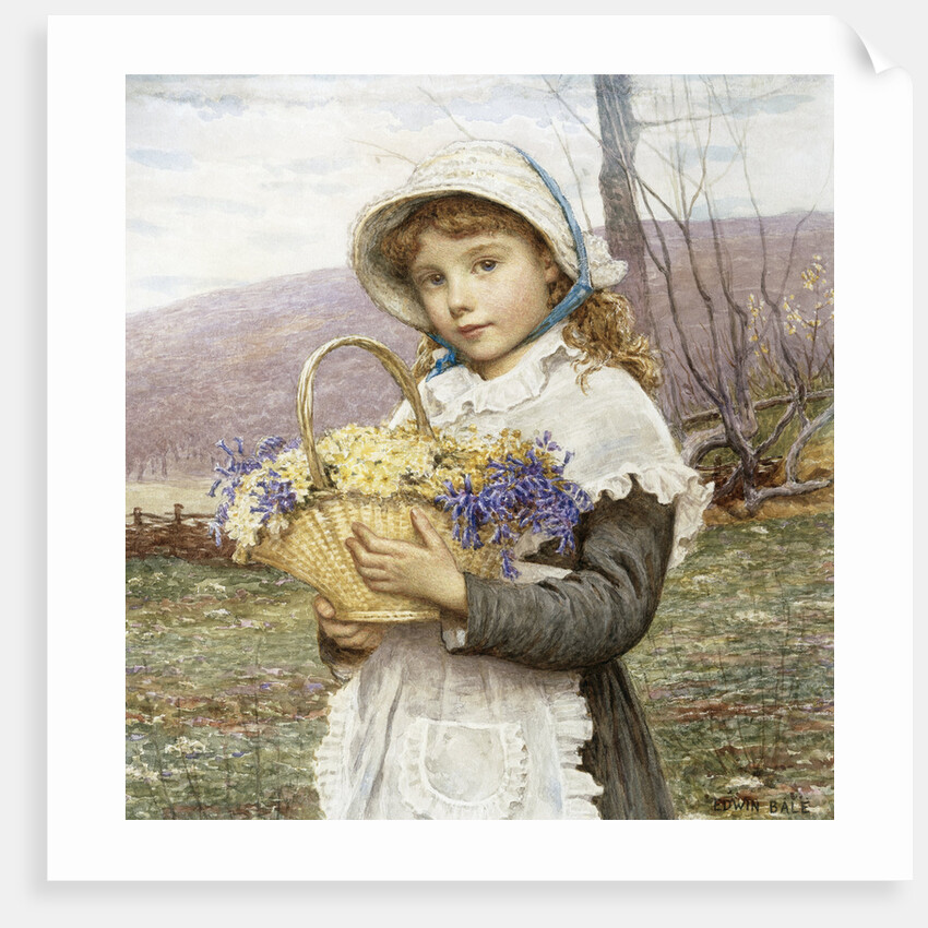 Spring Flowers by Edwin Bale