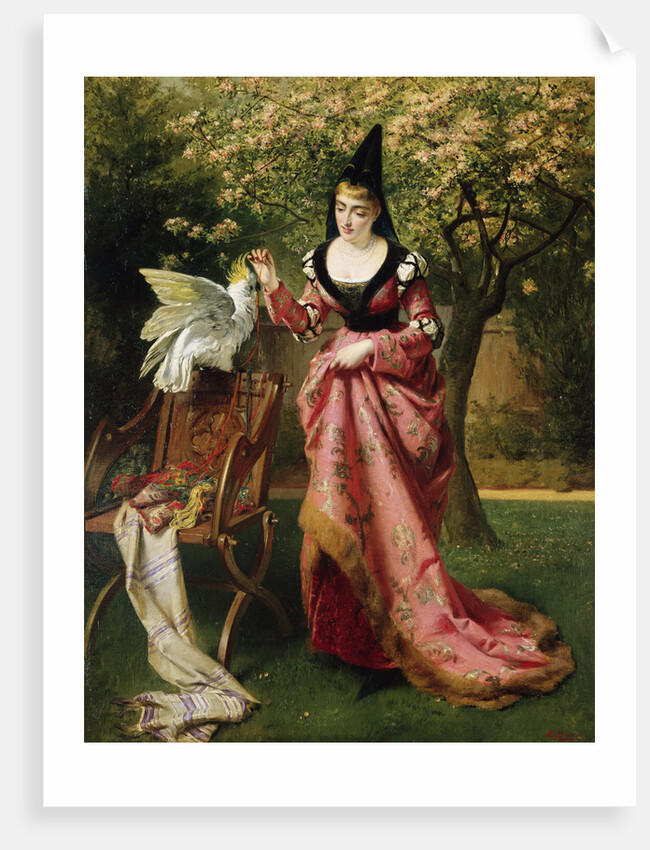 My Lady's Parrot by E.C. Barnes